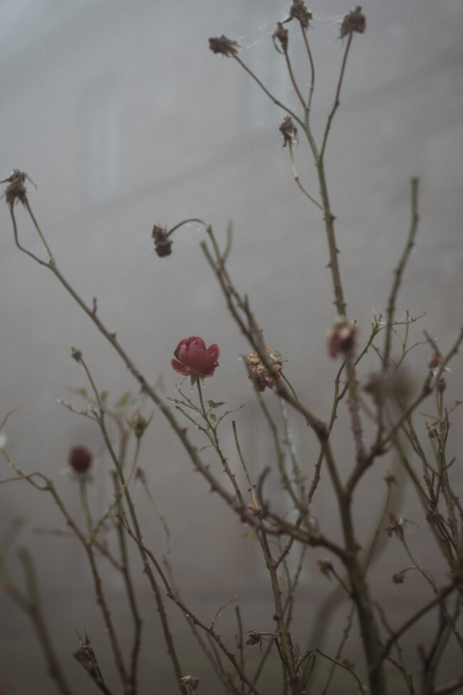 creations_autres_campagne03