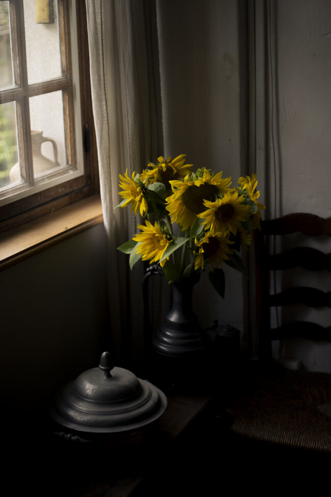 creations_autres_campagne11