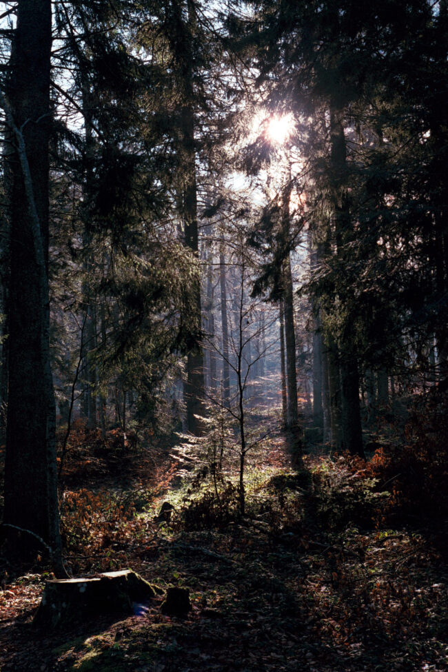 creations_autres_nature_01