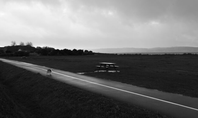 creations_autres_nature_04