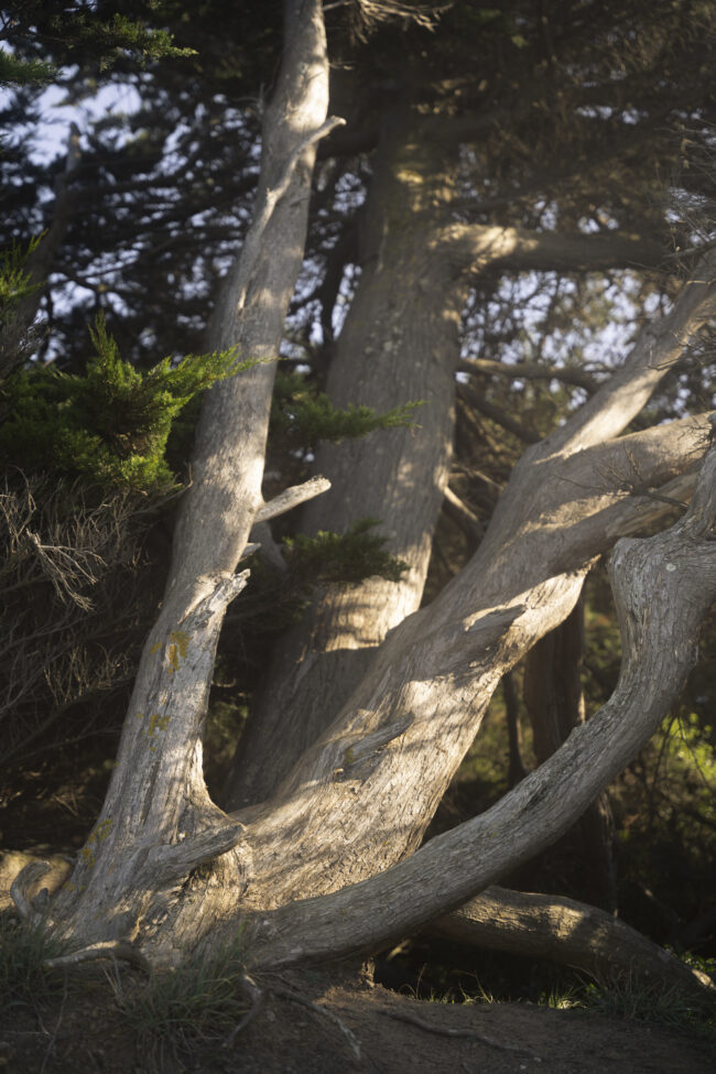 creations_autres_nature_06