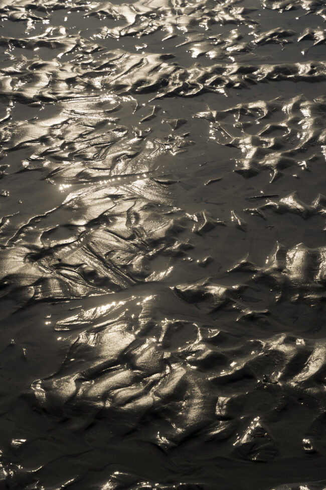 creations_autres_nature_08