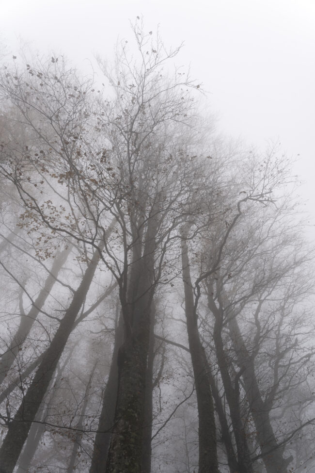 creations_autres_nature_11