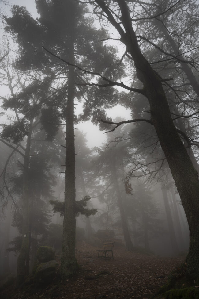 creations_autres_nature_12