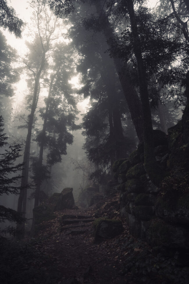 creations_autres_nature_13