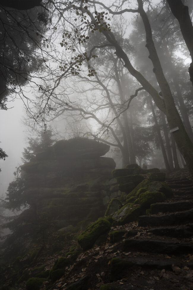 creations_autres_nature_14