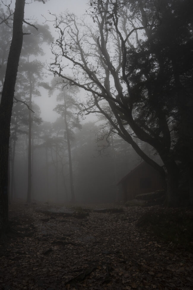 creations_autres_nature_15