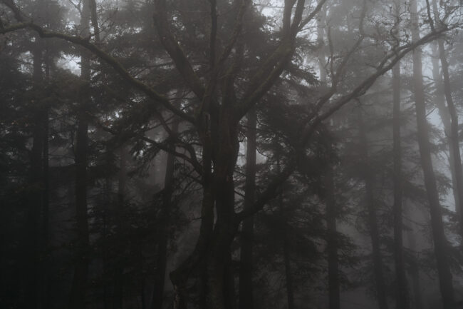 creations_autres_nature_16