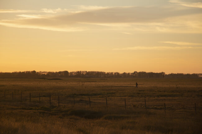 creations_autres_nature_17