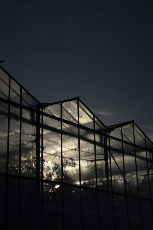 creations_autres_nature_20