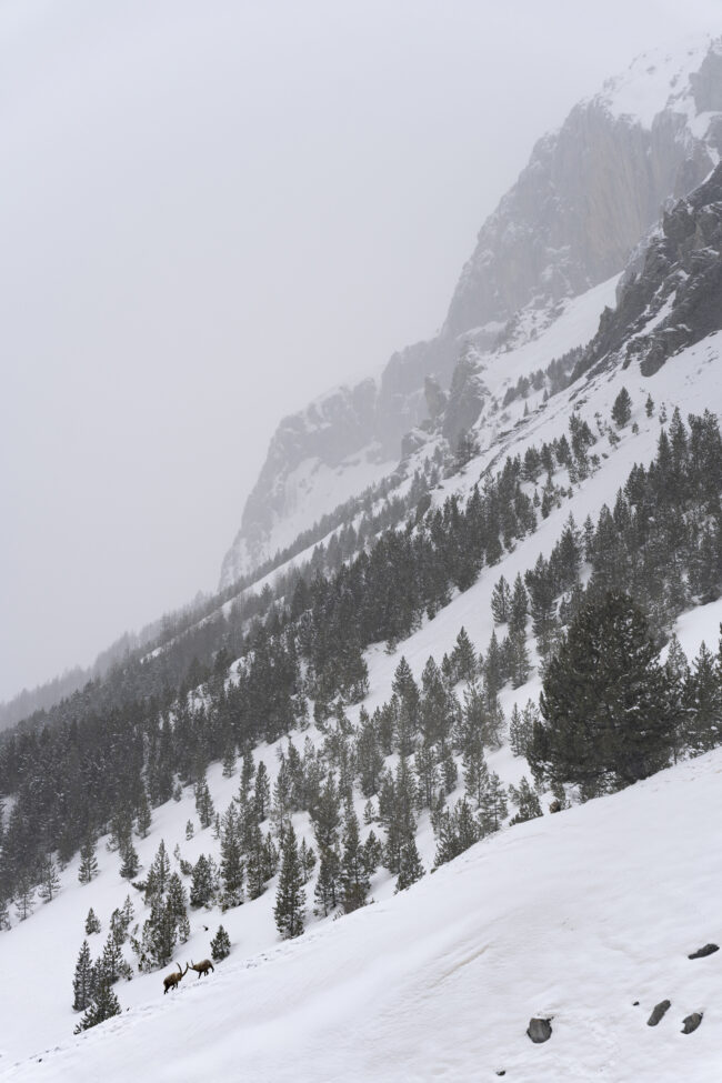 creations_autres_nature_22