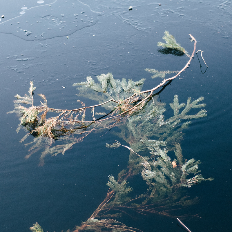 Les Jours de Beauté (2025)